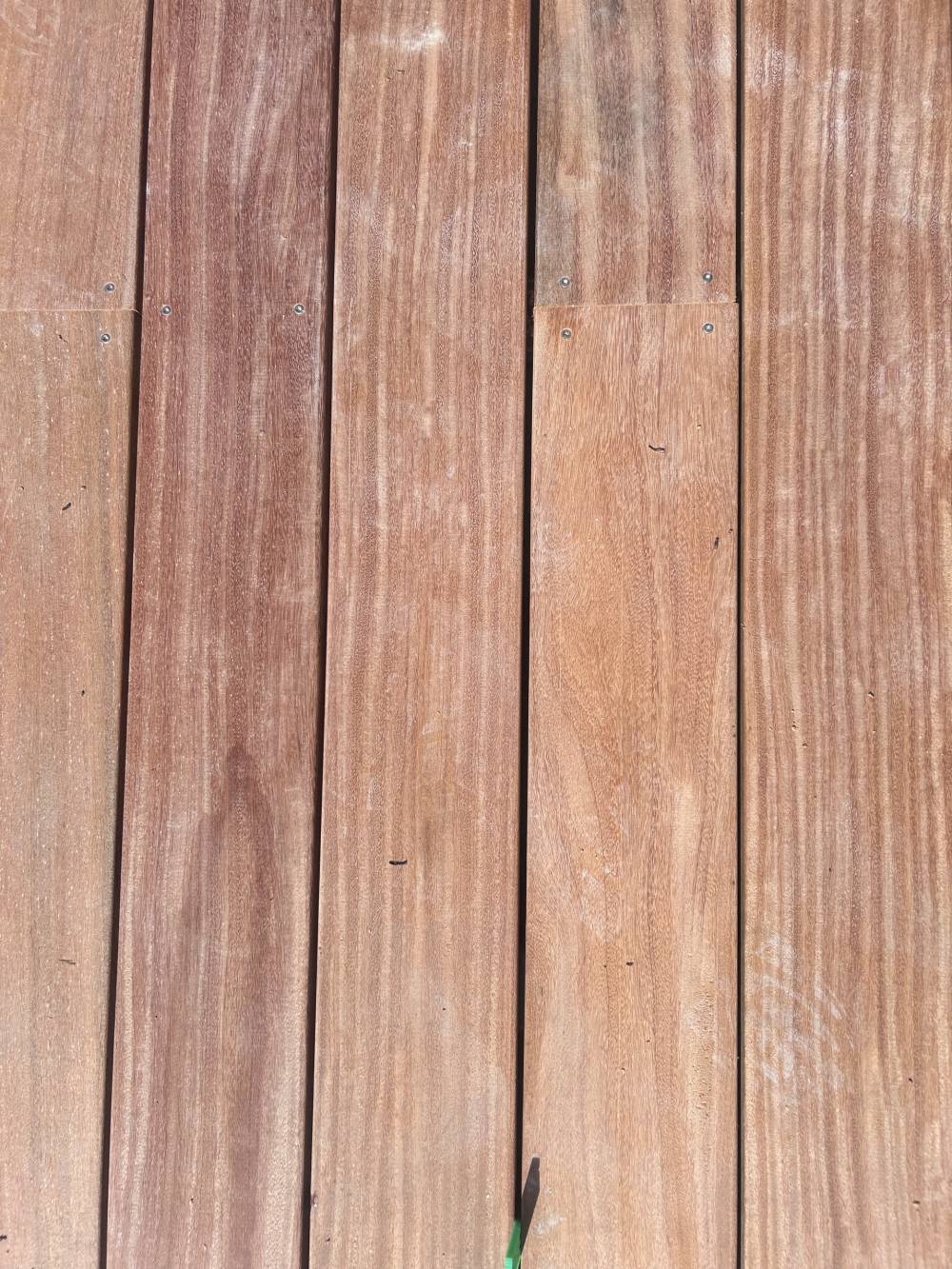 autre terrasse (2)
